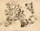 Click to enlarge 1563261796,