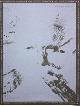  Bringhurst, Robert, Robert Bringhurst: Jacob Singing