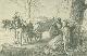 Click to enlarge 1563267972,