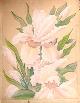 Click to enlarge 1567173124,