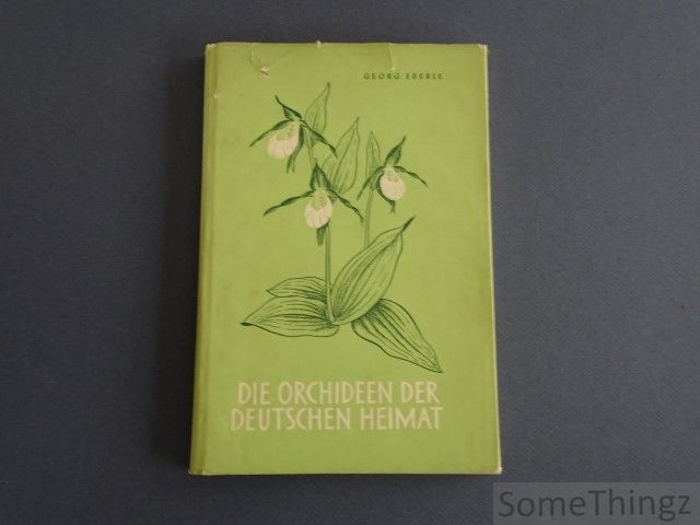 Eberle, Georg. - Die Orchideen der deutschen Heimat.
