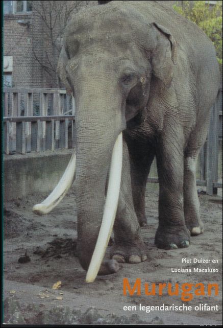DUIZER, P.; - MURUGAN, Een legendarische olifant
